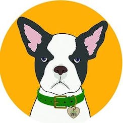 CBD Dog Health logo